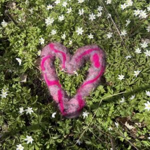 Rasberry Heart
