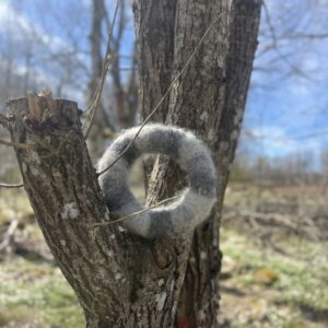Silver Lichen