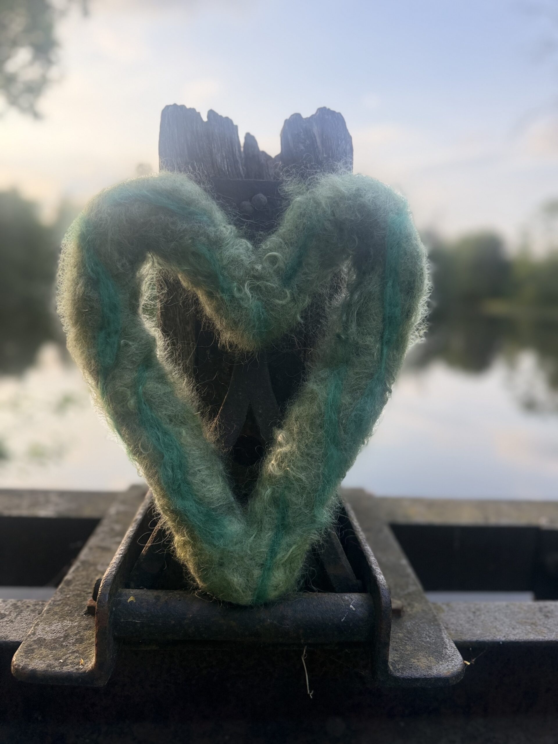 River Moss - Image 2