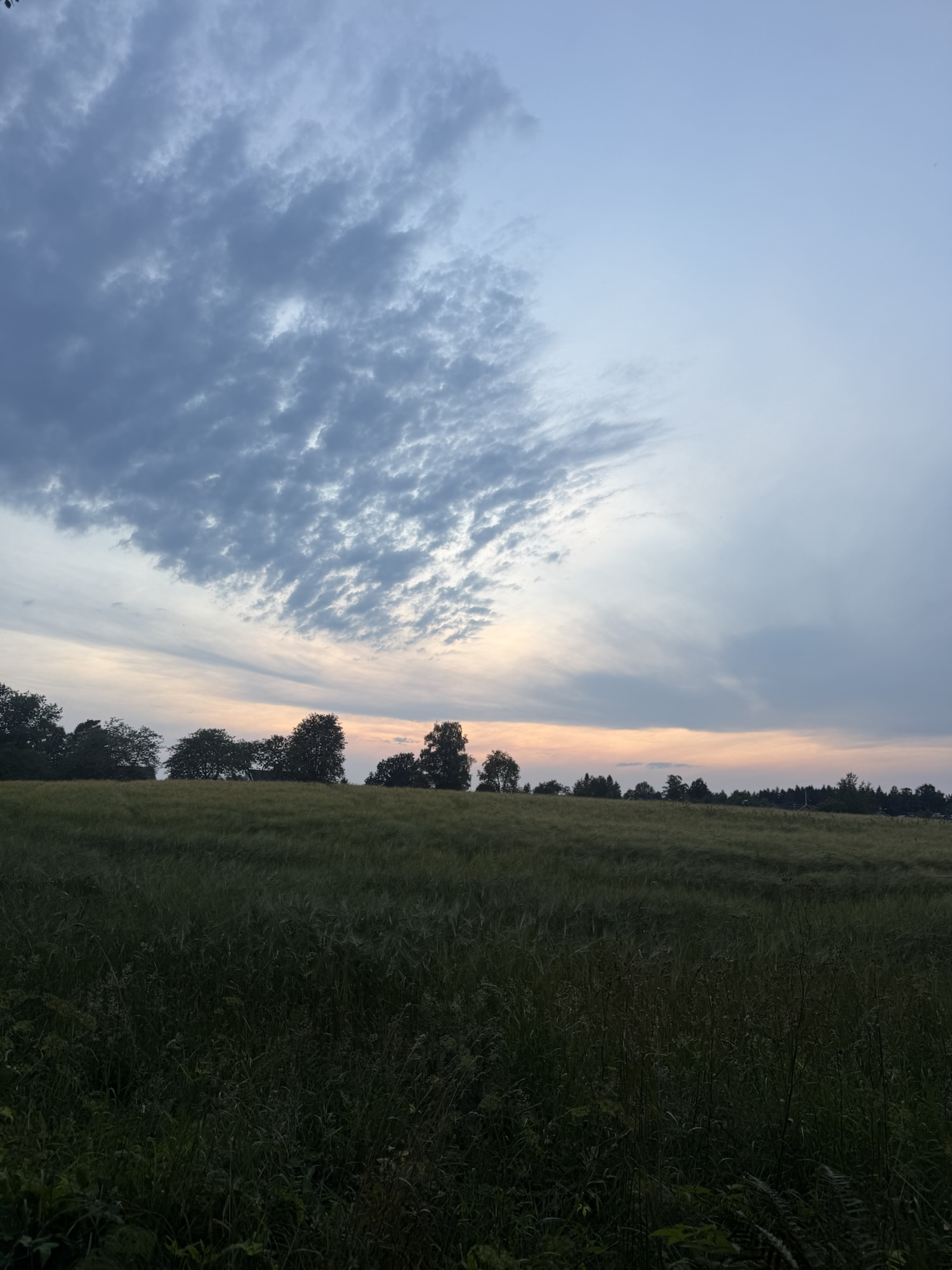 Counsciousness and spiritual awakening