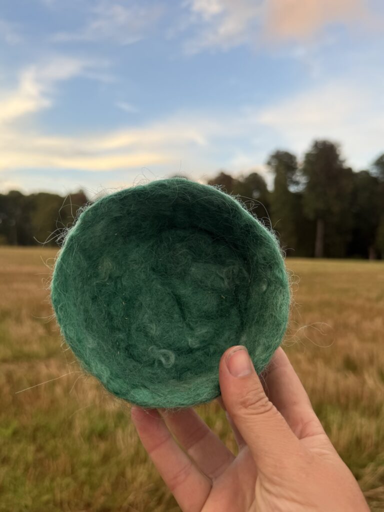 Summer nest