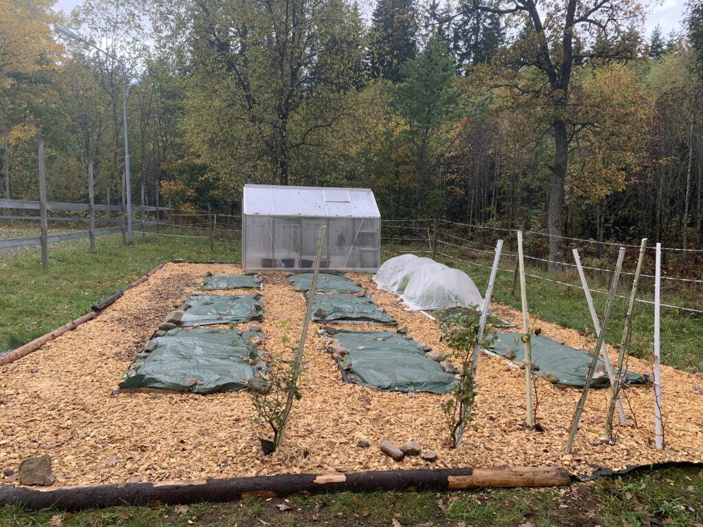 Tarot reading for your site - permaculture