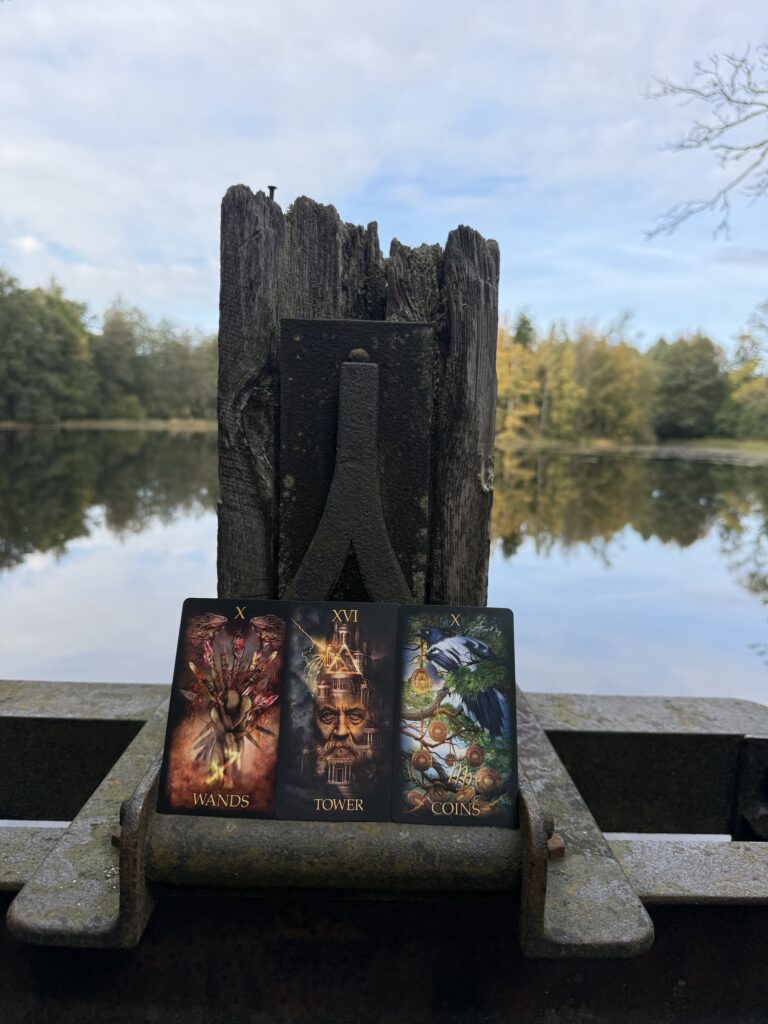 Tarot - Seasonal reading